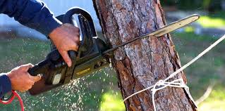 Soil Testing and Treatment in Orangeburg, NY
